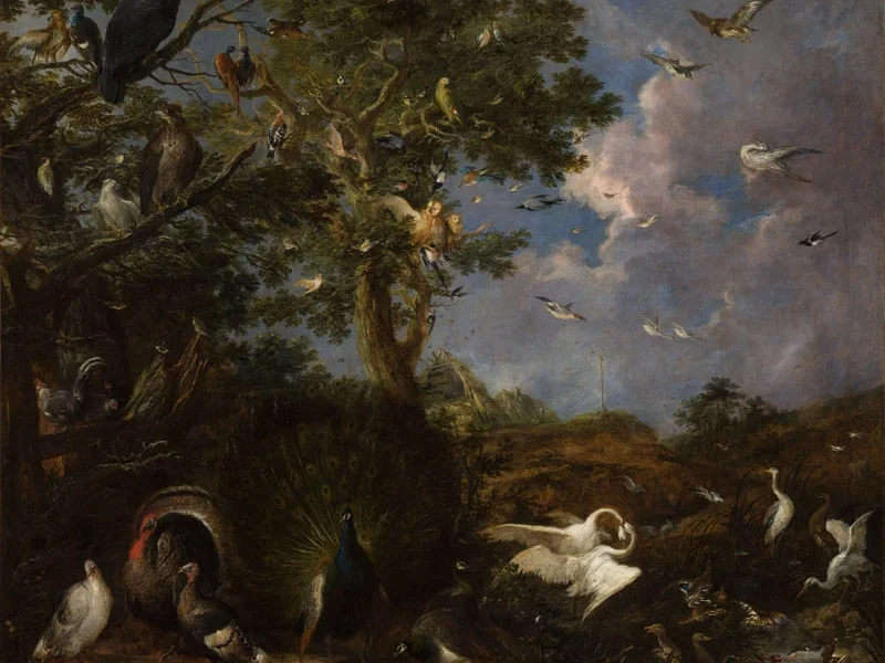 1686-Wenzel Lorenz Reiner - Uccelli in un paesaggio